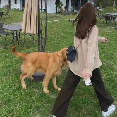 我的魔法预言